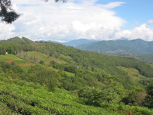 Вид на горы с чайных домиков — фото: Лоо, маленький Сочи