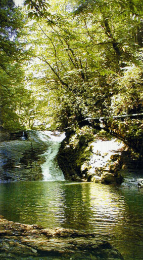 Водопад Райское наслаждение — фото: Лоо, маленький Сочи