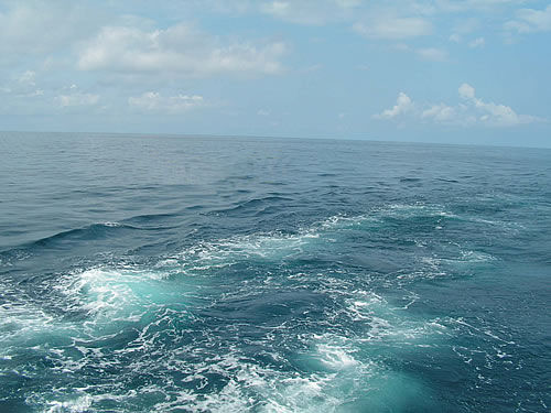Взволнованное катером море — фото: Лоо, маленький Сочи