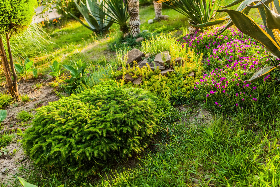 Фото: Беседка с мангалом в саду — Лоо, маленький Сочи
