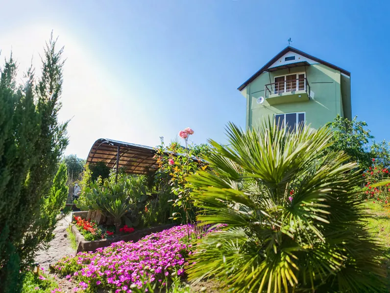 Веерная пальма, беседка и дом