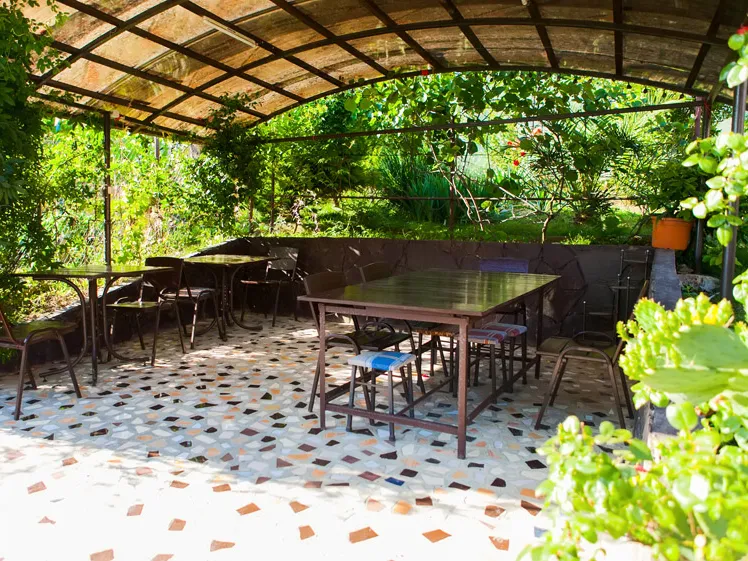 Большая крытая беседка со столиками (на шпалере несколько деревьев киви)