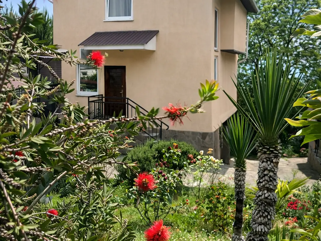 Вокруг дома экзотический сад. На фото каллистемон, две юкки, маленькая веерная пальма и куст розмарина