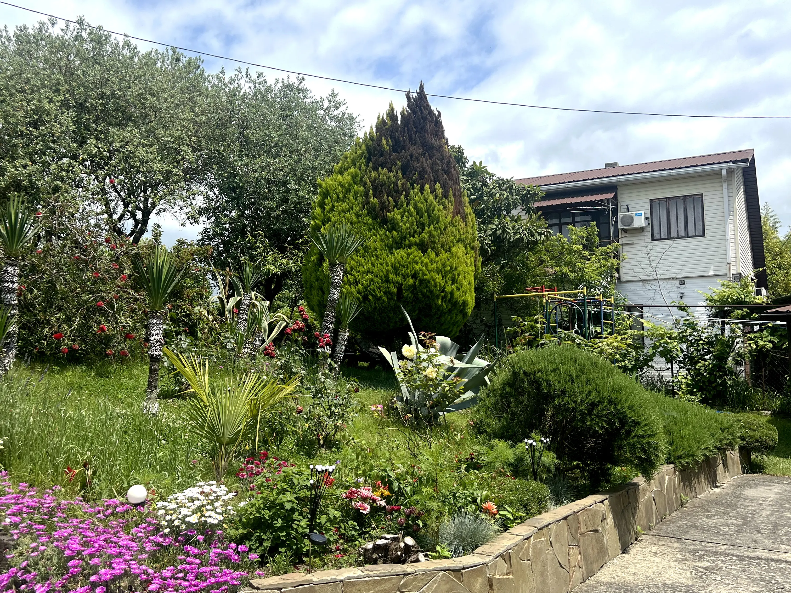 Фрагмент сада многочисленными цветами, деревьями фейхоа, граната и мушмулы