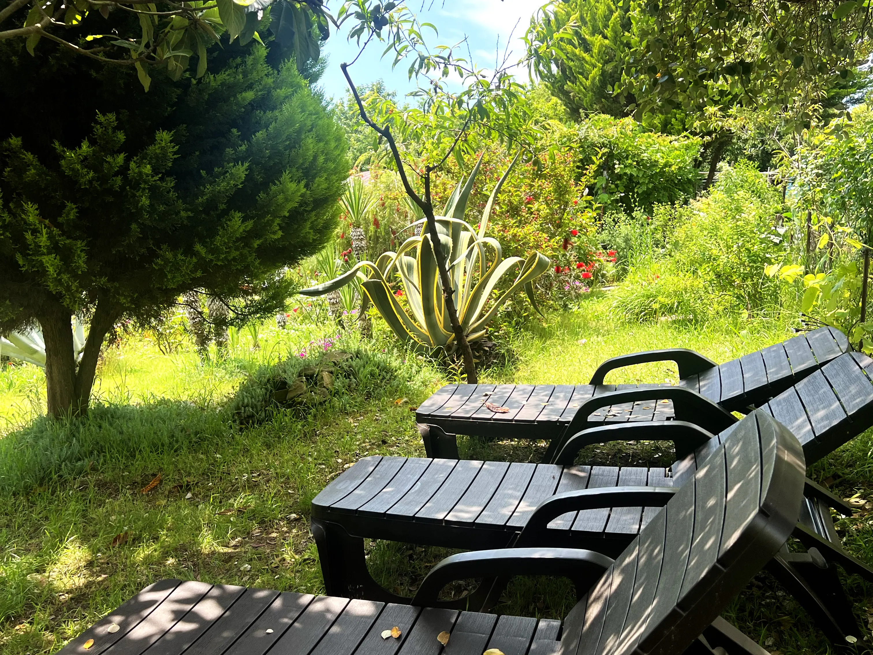 Лежаки в саду рядом с детской площадкой в тени. Можно отдыхать и присматривать за ребёнком на детской площадке