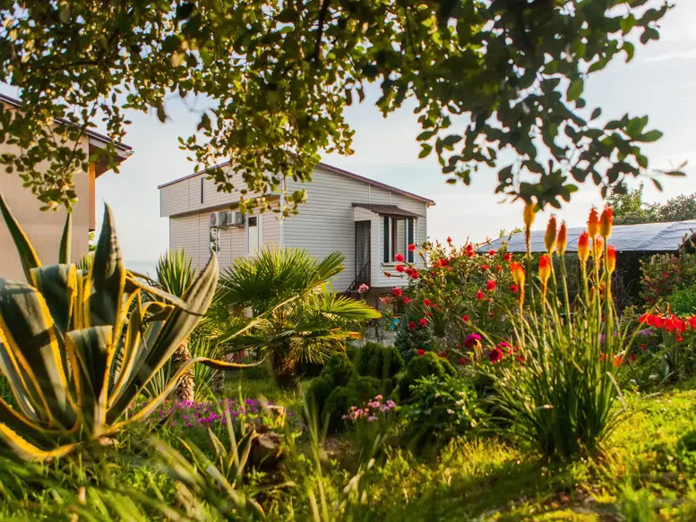 Фрагмент сада с большой агавой, веерной пальмой и цветами