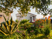 Фрагмент сада с большой агавой, веерной пальмой и цветами